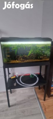 Akvárium eladó 