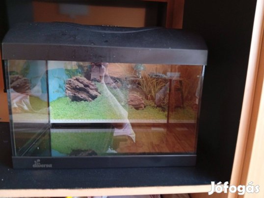Akvárium komplett felszereéssel eladó