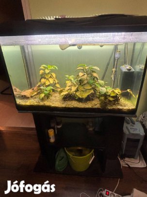 Akvárium külső szűrővel eladó