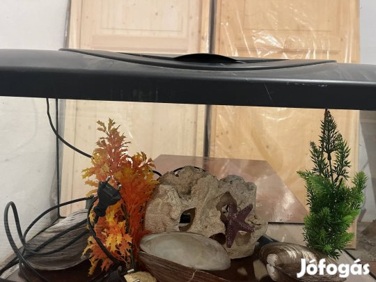 Akvárium tartozékaival egyutt