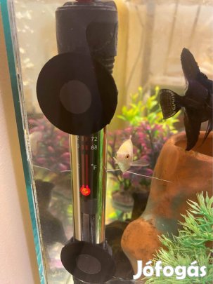 Akvárium teljes berendezéssel