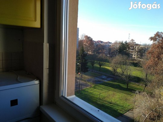 Albérlet Jerikó utca (Debrecen)