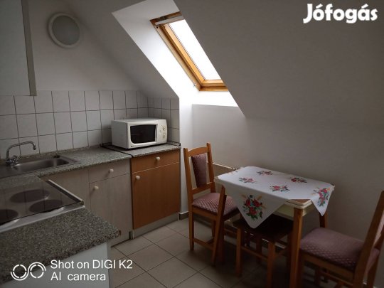 Albérlet Zalaegerszegen