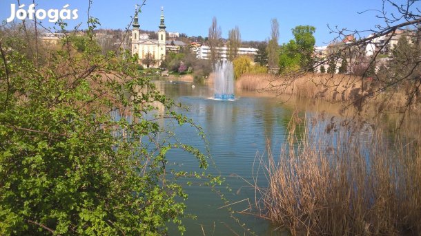 Albérlet kiadó Budán XI.kerületben