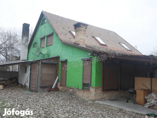Albertirsán autentikus vadásztanya eladó
