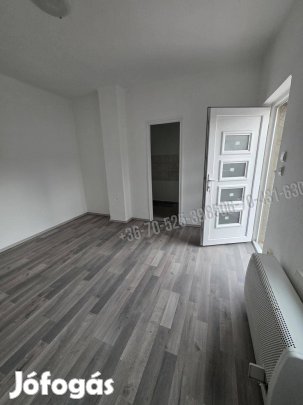 Albertirsán felújított kétlakrészes családiház eladó