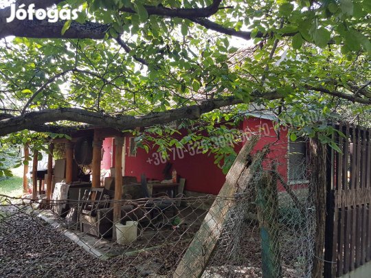 Albertirsán takaros kis tanya eladó