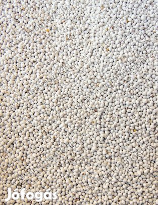 Alexandriai here fémzárolt vetőmag eladó, postai utánvéttel