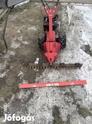 Alko alternalo kasza elado