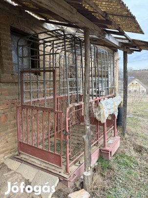 Állat mázsa szarvasmarhához