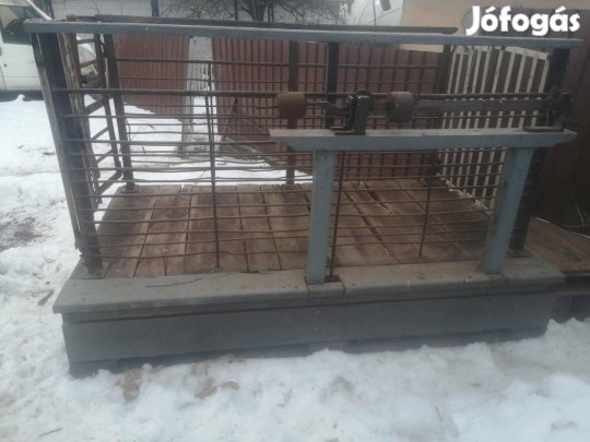 Állat mérleg eladó