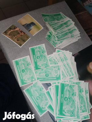 Állati rekordok 2 Spar matrica + keresek üres albumot