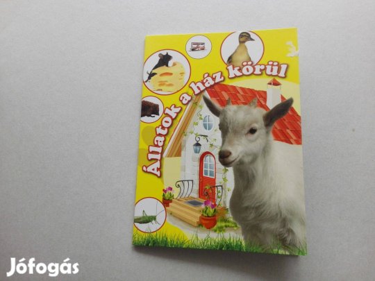 Állatok a ház körül - Teljesen Új ismeretterjesztő füzet gyermekeknek