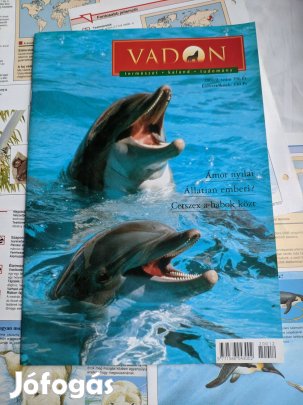 Állatos mintakártyák