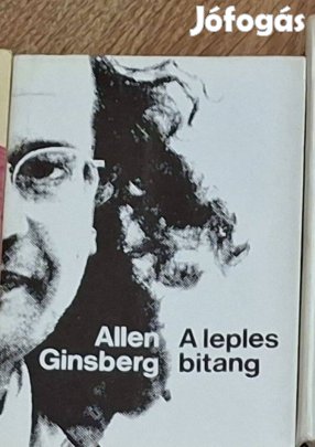 Allen Ginsberg : A leples bitang