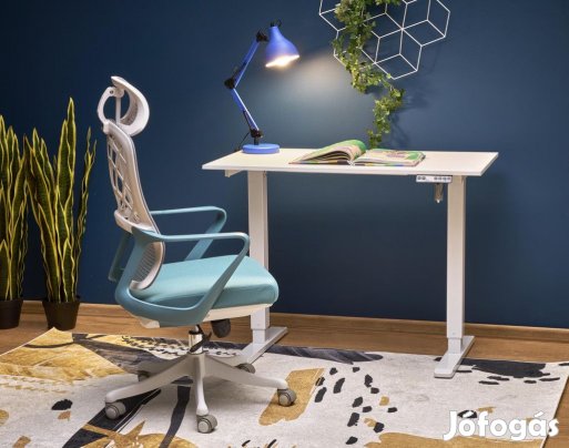 Állítható magasságú íróasztal I04480