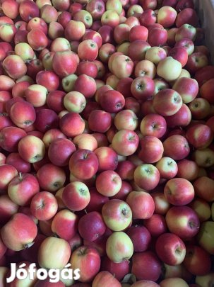 Alma lének vagy pálinkának eladó