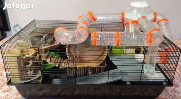 Álom hörcsög ketrec eladó