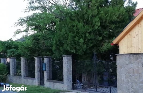 Álomotthon Dunavarsányban!