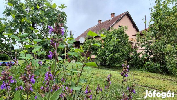 Alsójózsán tágas elosztású családi ház eladó