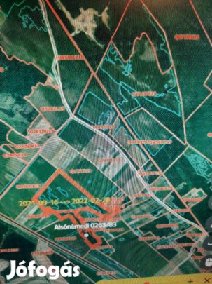 Alsonémedi külterületén védett nádas - Alsónémedi