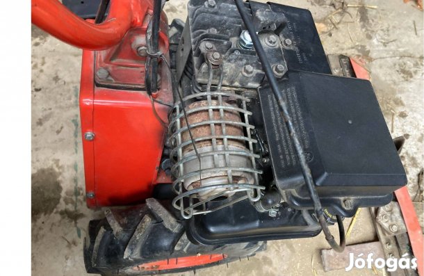 Alternáló fűkasza Briggs BM660 250cc