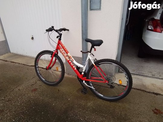 Aluminium montan bike