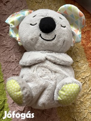 Alvássegítő koala