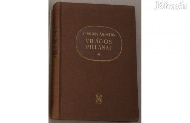 Ambrózy Ágoston: Világos pillanat (Schumann élete)