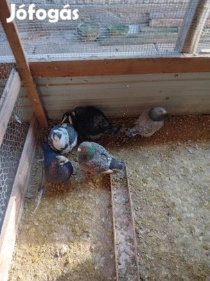 Amerikai orisás posta