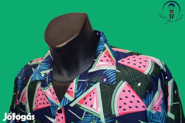 Amigos Impex férfi ing (méret:44-XL)