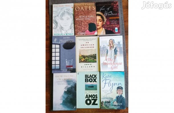 Amos Oz,Katie Flynn Oates Regények angolul újszerű sok kép Sok Mást