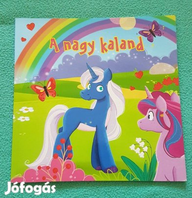 Ana Delgado - A nagy kaland könyv