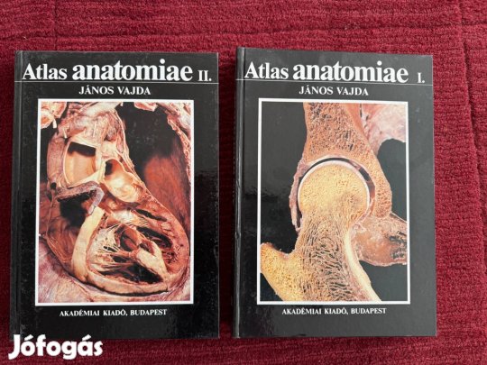 Anatómia atlasz (Vajda János) 1989