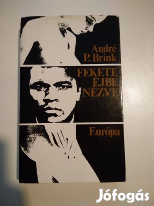 André P. Brink - Fekete éjbe nézve