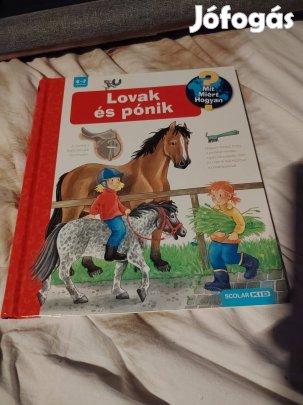 Andrea Erne: Lovak és pónik (Mit? Miért? Hogyan? 13.)