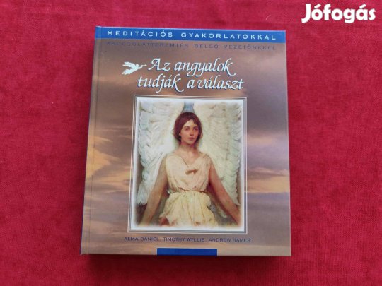 Andrew Ramer: Az angyalok tudják a választ