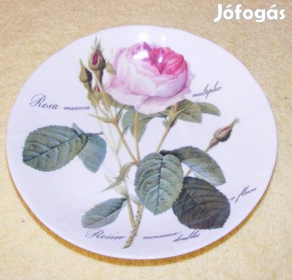 Angol porcelán rózsás tányér Roy Kirkham