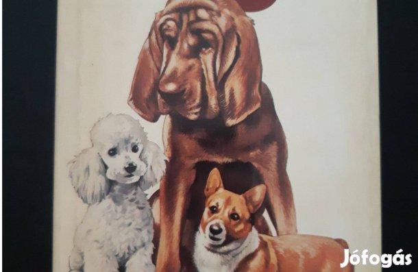 Anna Gondrexon-Ives Browne: The Hamlyn Guide to Dogs