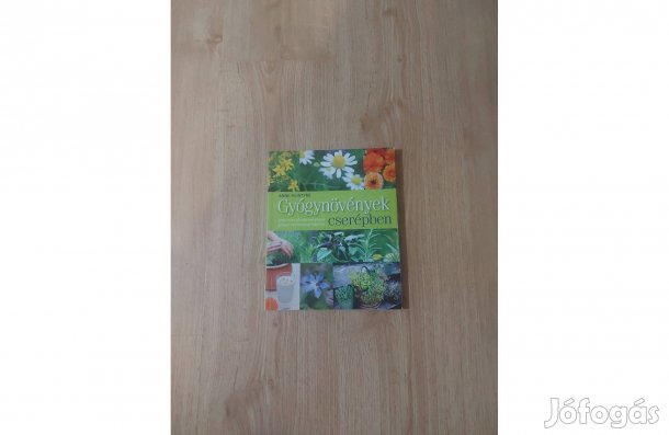 Anne Mcintyre: Gyógynövények cserépben