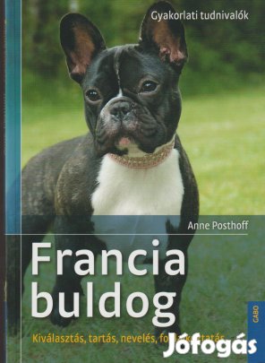 Anne Posthoff: Francia buldog
