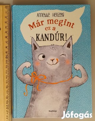 Annette Herzog: Már megint ez a kandúr