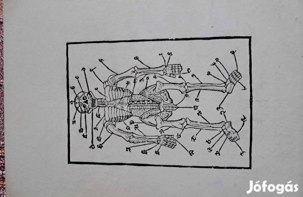 Anthony Smith Testünk Titkai