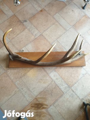 Antik fogas jó állapotban 