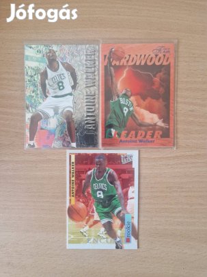Antoine Walker kosaras kártyák 3db