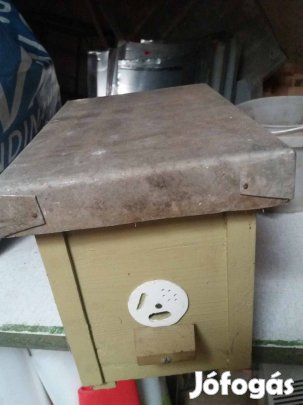 Anyapároztató kaptár