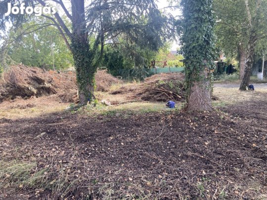 Apriték mulcs , Őrségi erdei apríték