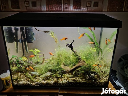 Aquael Leddy akvárium szet