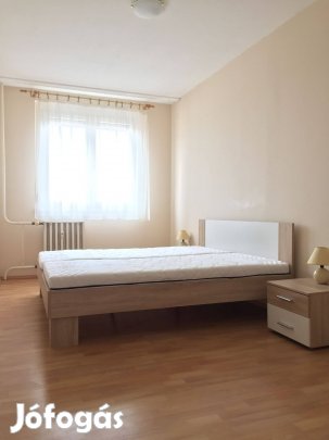 Aradi vértanúk terén felújított panorámás lakás