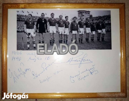 Aranycsapat kép aláírásokkal Puskás, Czibor, Hidegkuti, Grosics, Buzán